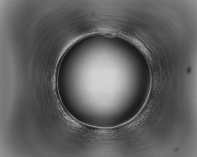 X0000100840904200806271109