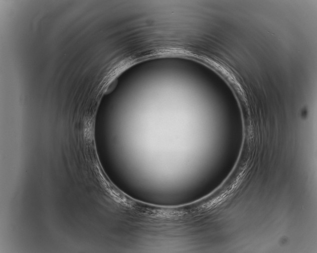 X0000100840905200806271109