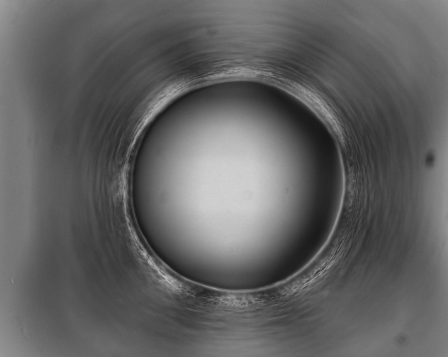 X0000100840906200806271109