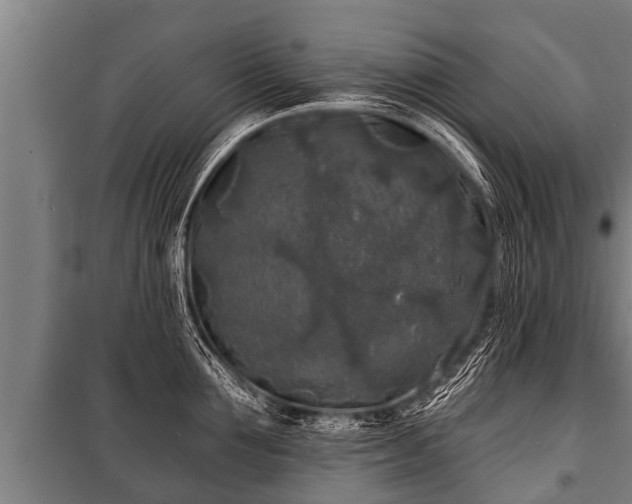 X0000100840907200806271109