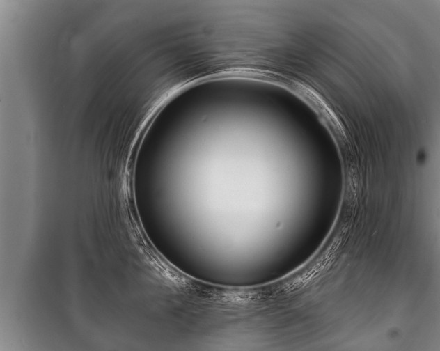 X0000100840908200806271109