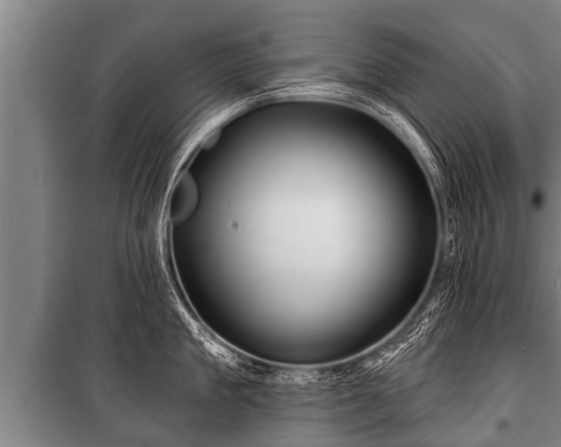 X0000100840909200806271109