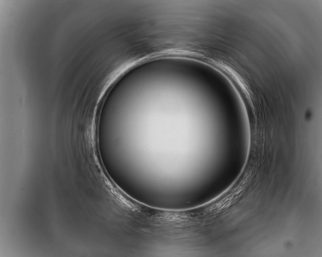 X0000100840910200806271109