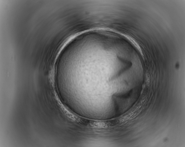 X0000100840911200806271109