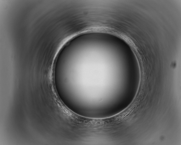 X0000100840912200806271109