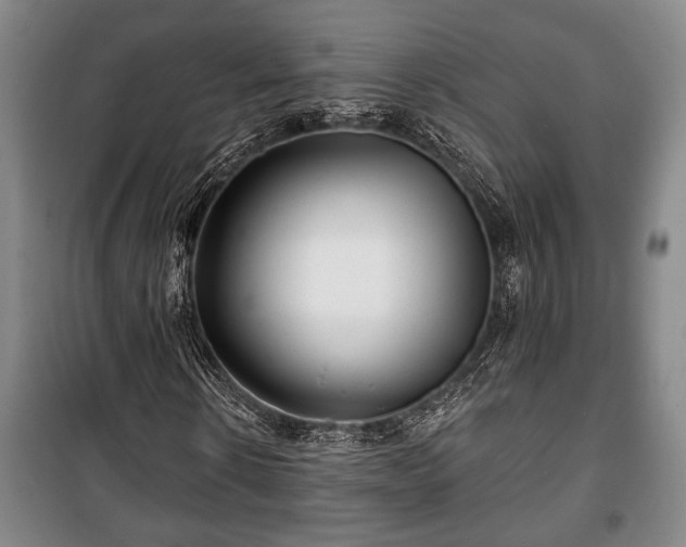 X0000100840914200806271108