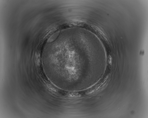 X0000100840915200806271108