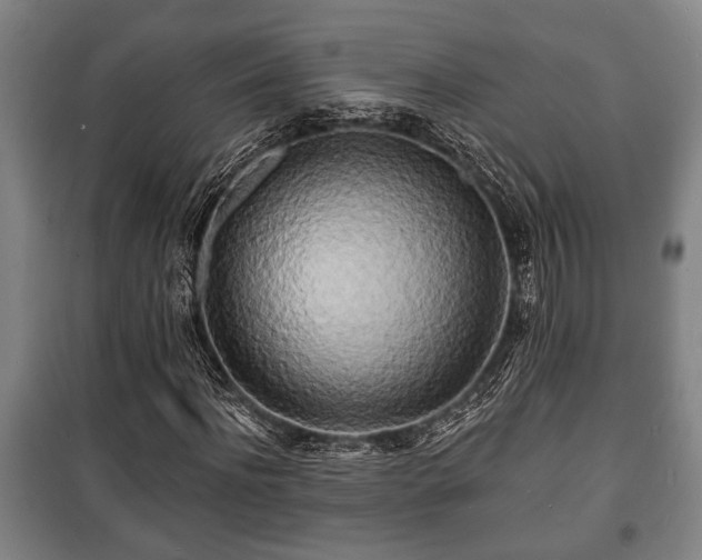 X0000100840916200806271108