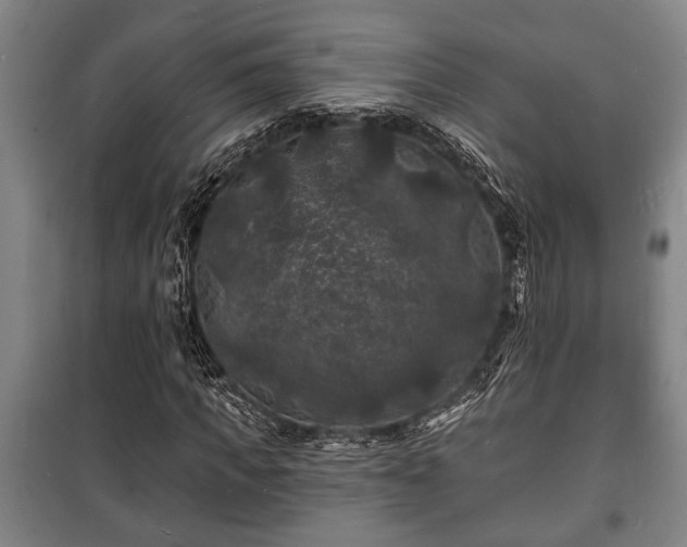 X0000100840917200806271108