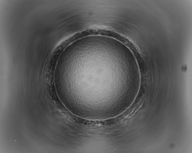 X0000100840919200806271109