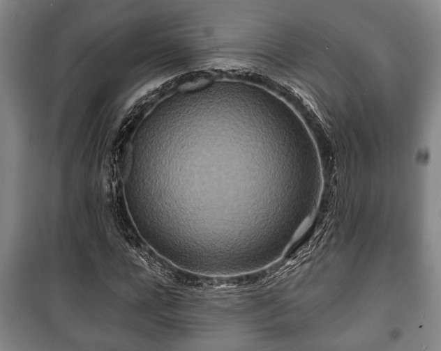 X0000100840920200806271109