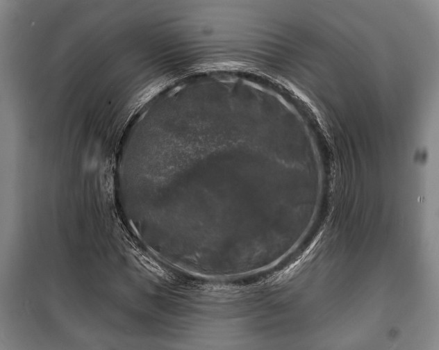 X0000100840921200806271109