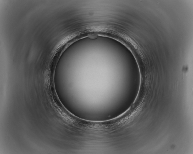 X0000100840922200806271109