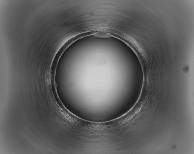 X0000100840924200806271109