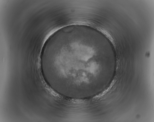 X0000100840928200806271109