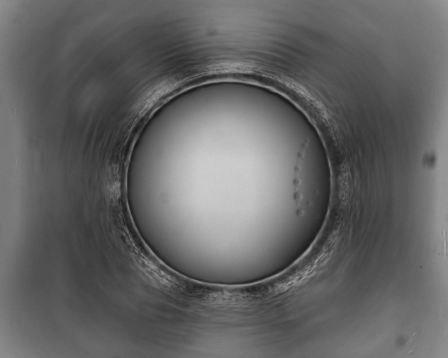 X0000100840929200806271109