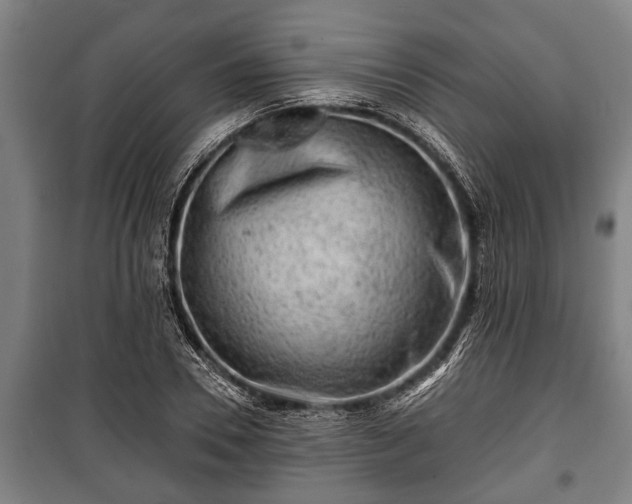 X0000100840930200806271109