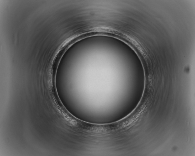 X0000100840931200806271109