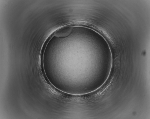 X0000100840932200806271109