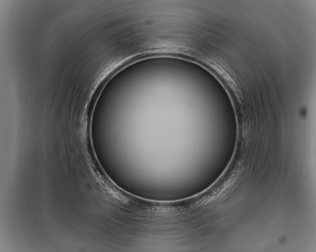 X0000100840933200806271109