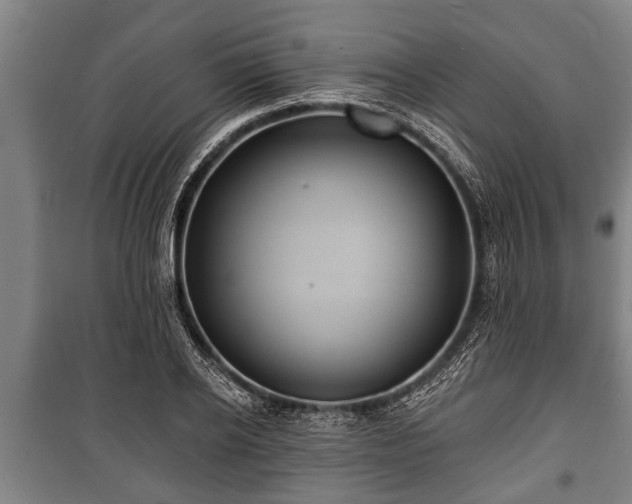 X0000100840934200806271109