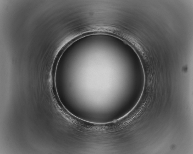 X0000100840936200806271109