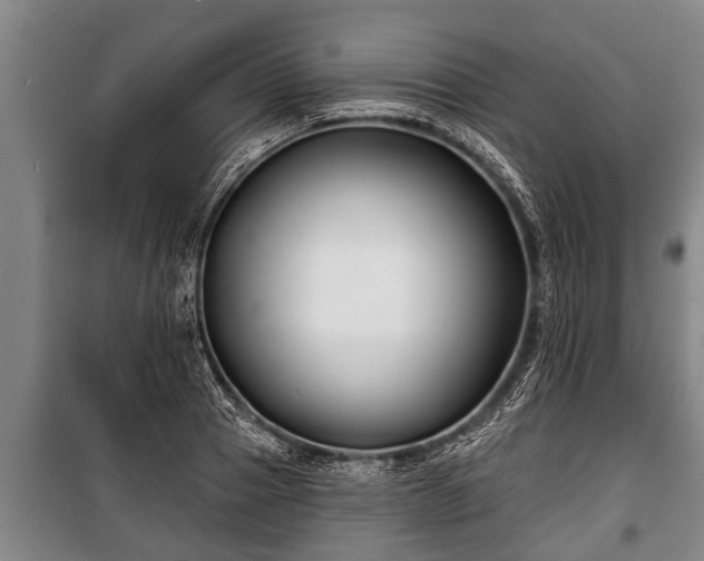 X0000100840937200806271109