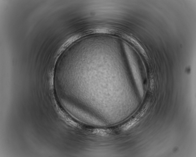 X0000100840938200806271109