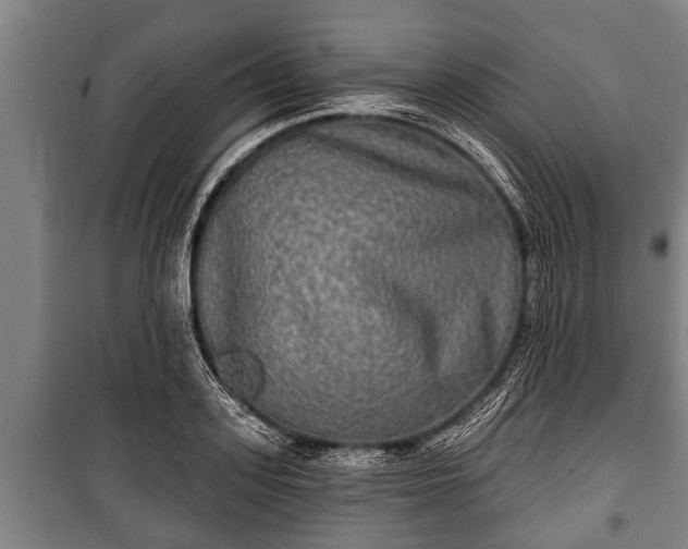 X0000100840939200806271109