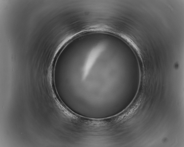 X0000100840941200806271109