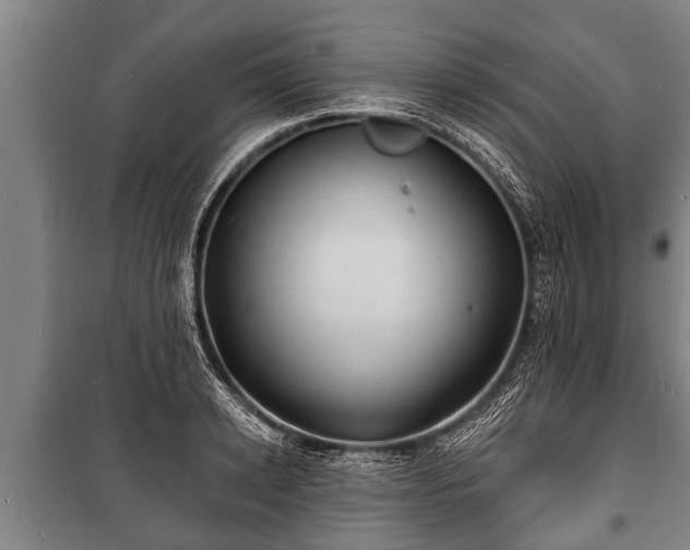 X0000100840942200806271109