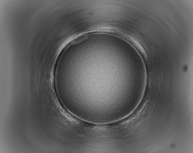 X0000100840944200806271109