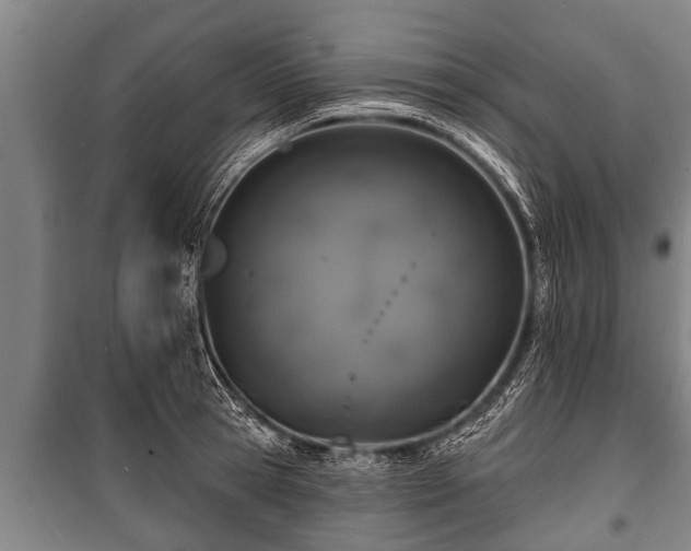 X0000100840945200806271109