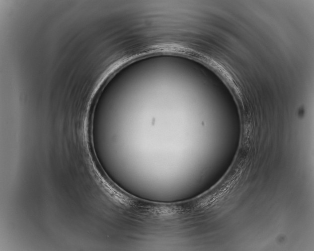 X0000100840947200806271109