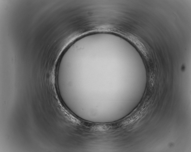 X0000100840950200806271109