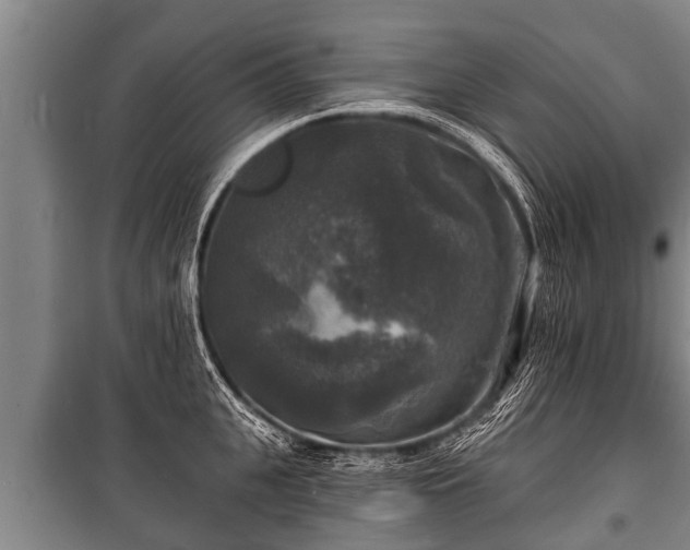 X0000100840951200806271109