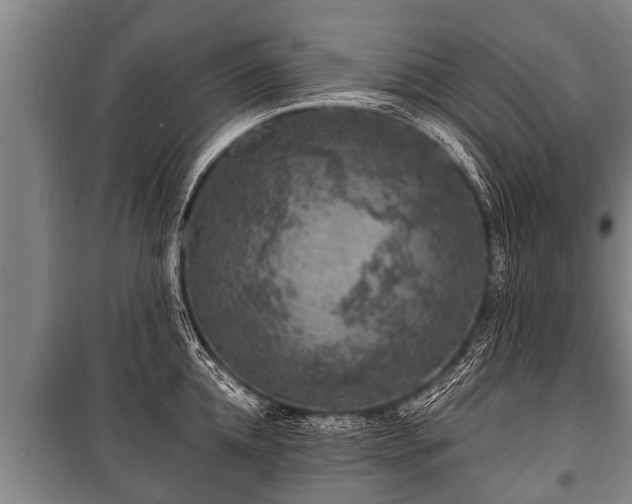 X0000100840952200806271109