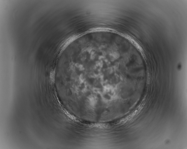 X0000100840953200806271109