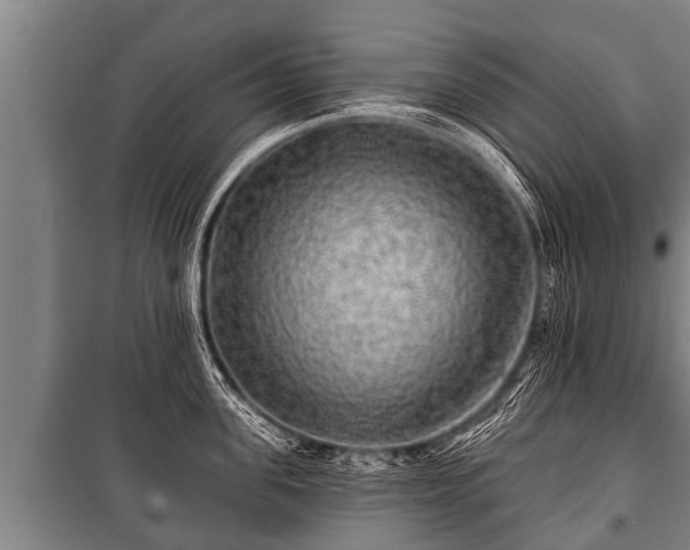 X0000100840955200806271109