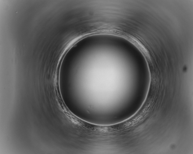 X0000100840956200806271109