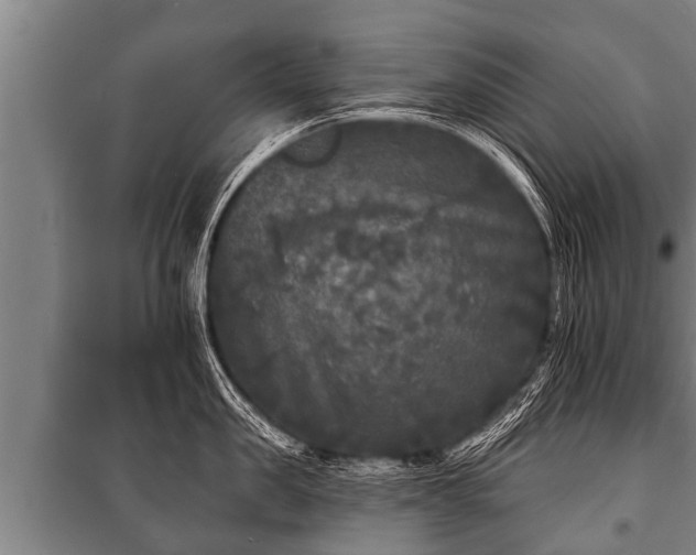 X0000100840957200806271109