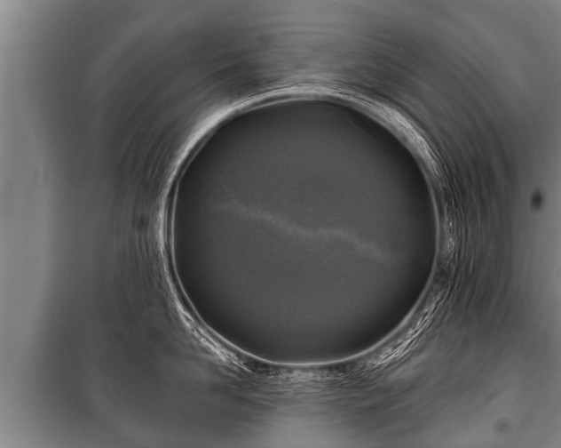 X0000100840958200806271109