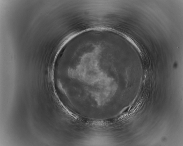 X0000100840959200806271109