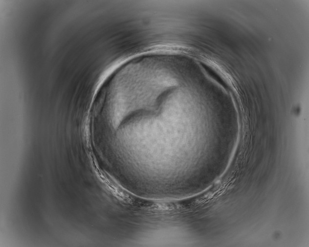 X0000100840960200806271109