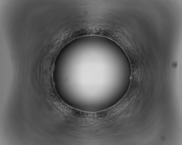 X0000100840961200806271108