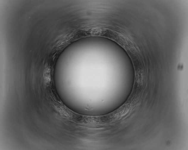 X0000100840962200806271108