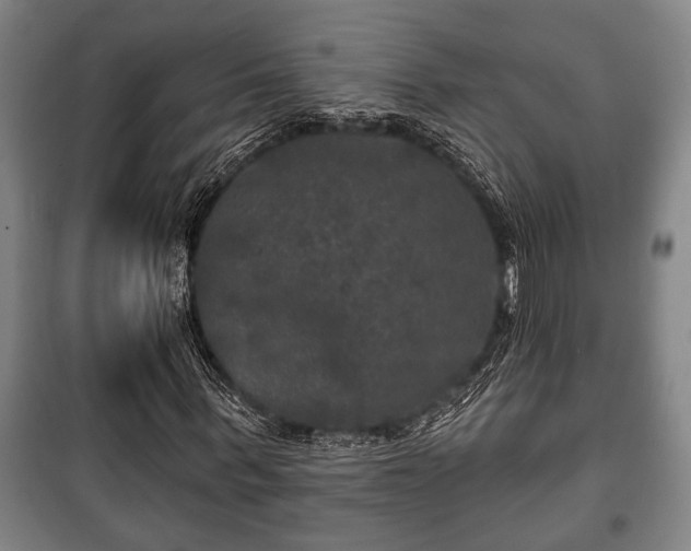 X0000100840963200806271108