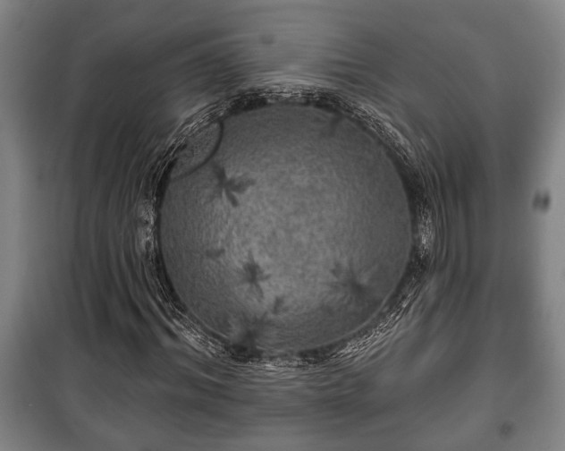 X0000100840964200806271108