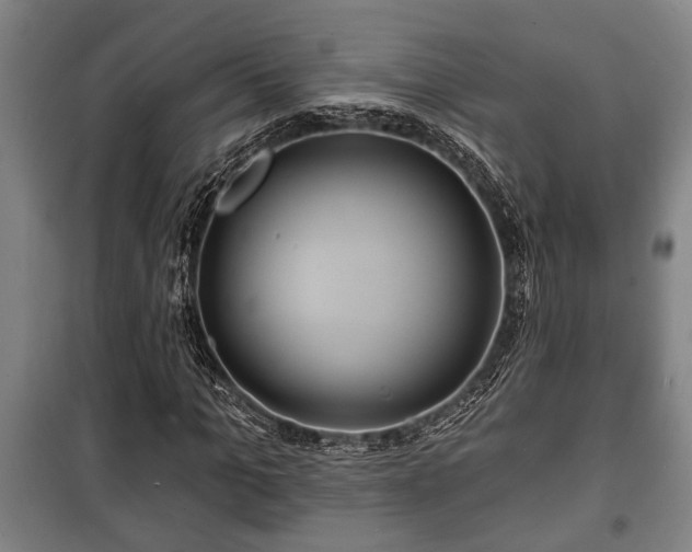 X0000100840965200806271108