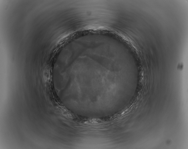 X0000100840966200806271108